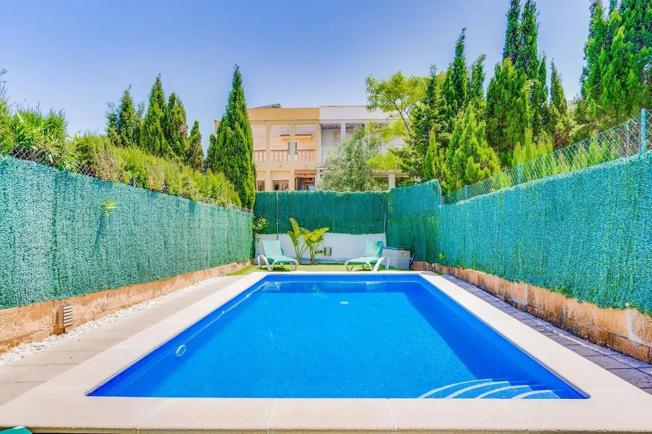 Villa Olivo Alcudia Алькудия